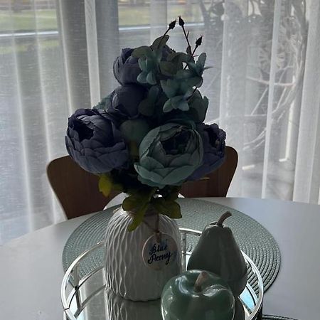 Blue Peony Apartment Druskininkai Ngoại thất bức ảnh